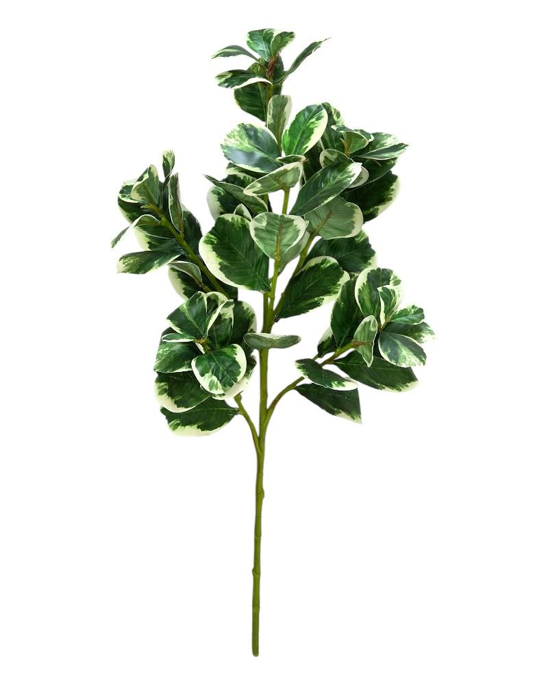 Varietaged Foliage 25"