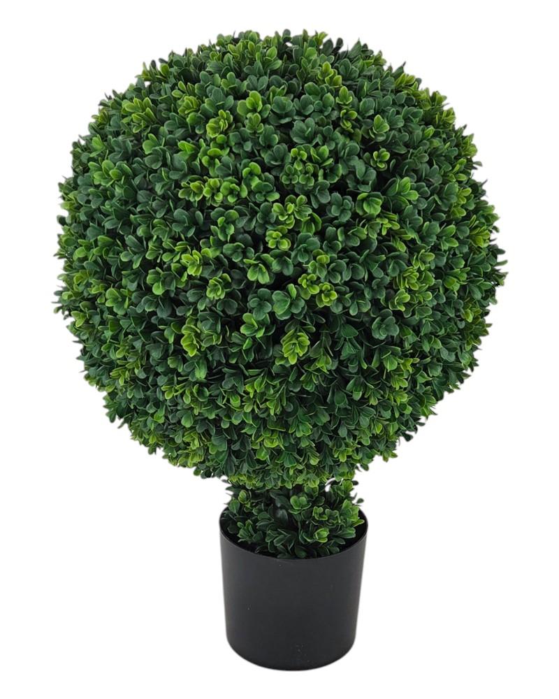 Southern Boxwood Topiary 25"