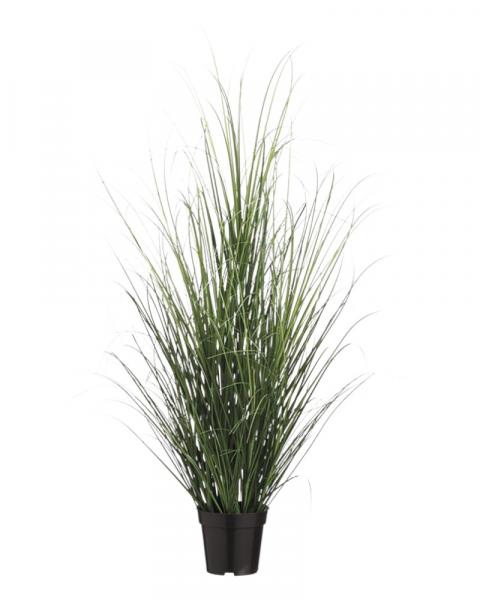48" Grass Bush In Pot