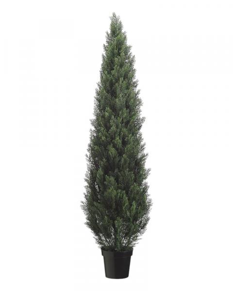 Cedar Topiary In Pot 72"