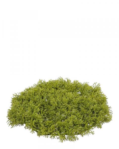Moss Mat 9" Green