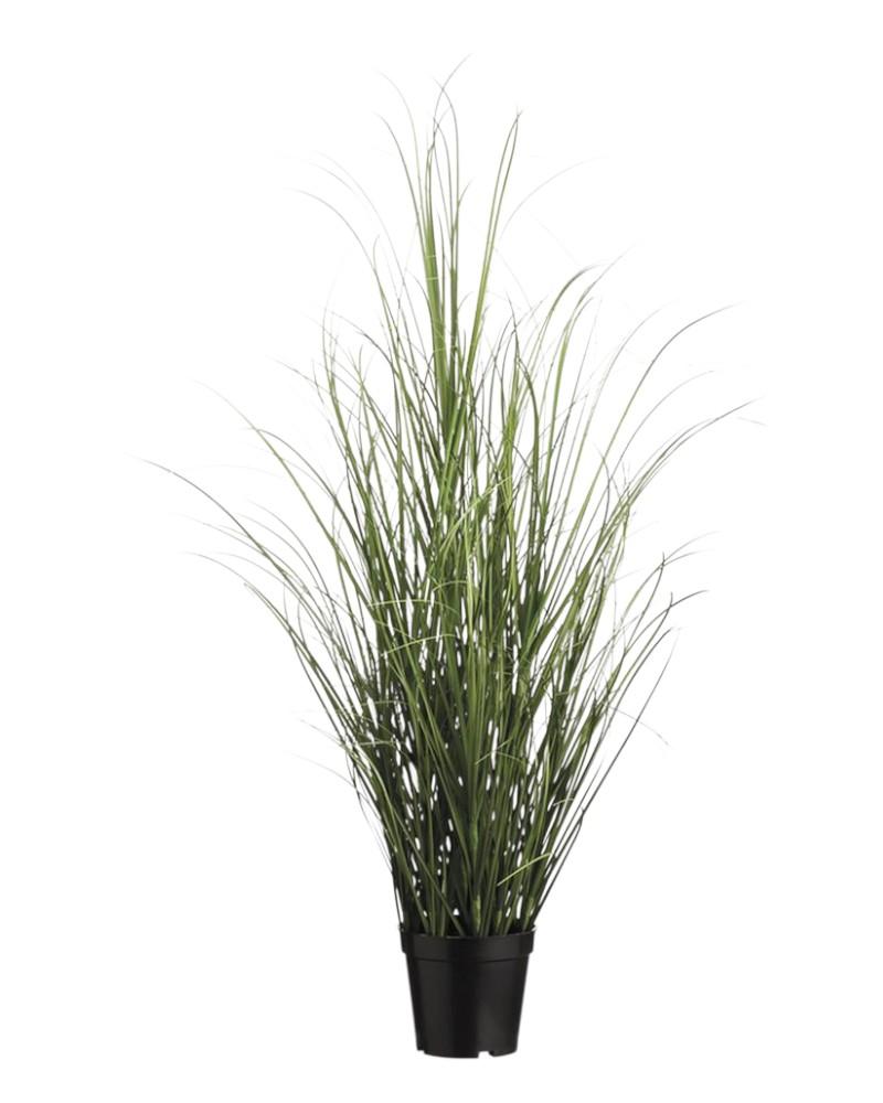 39" Grass Bush In Pot