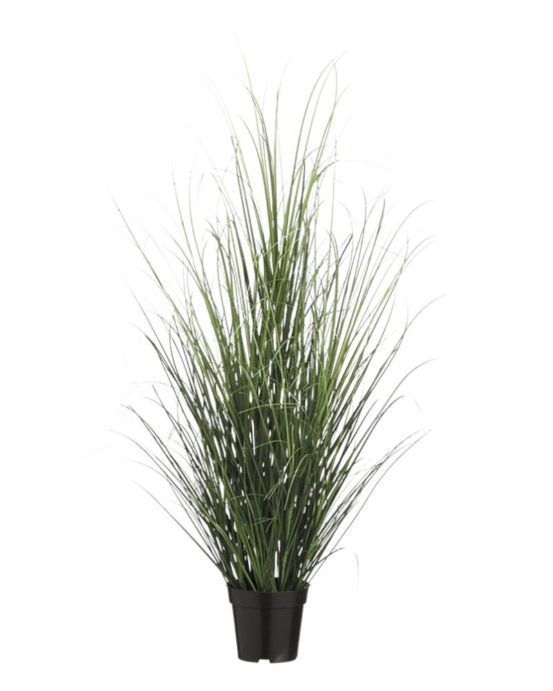 48" Grass Bush In Pot