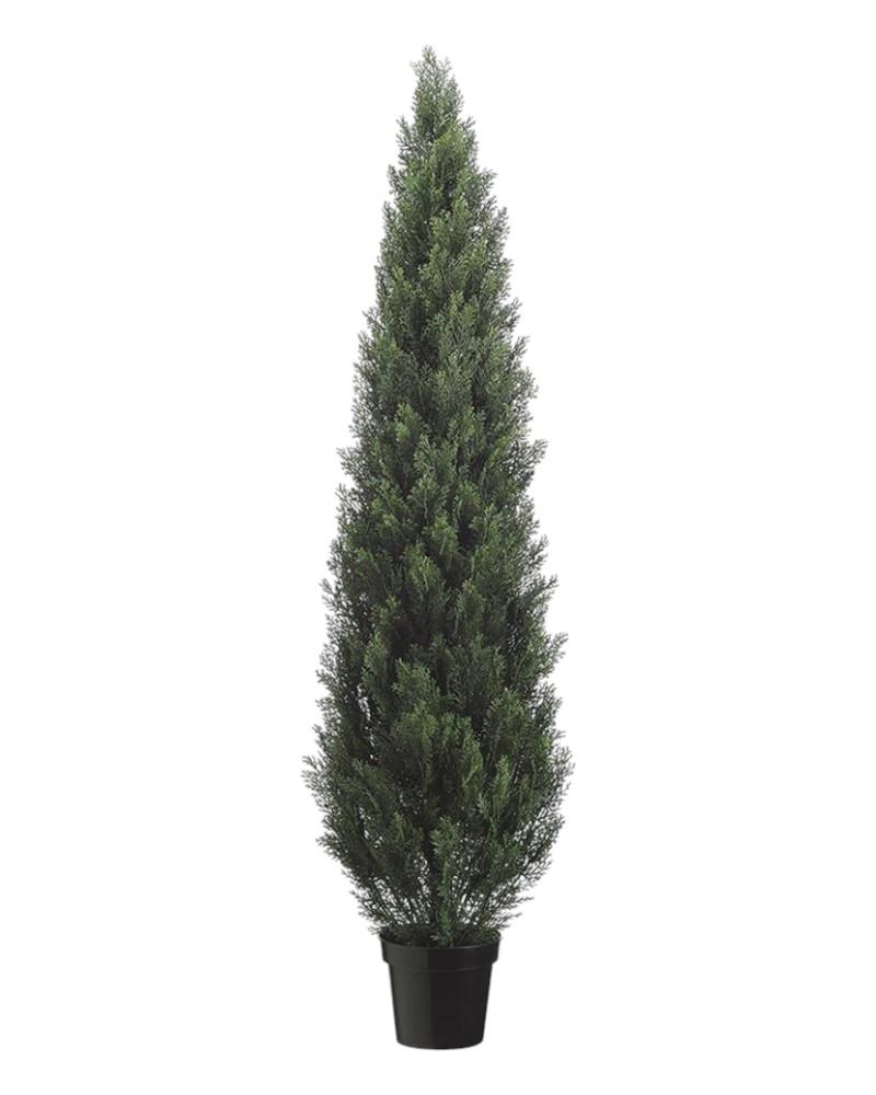 Cedar Topiary In Pot 72"