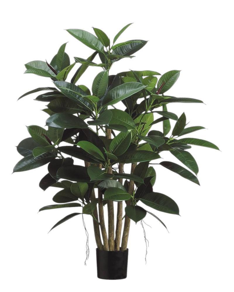 Rubber Leaf Plant Potted 39"