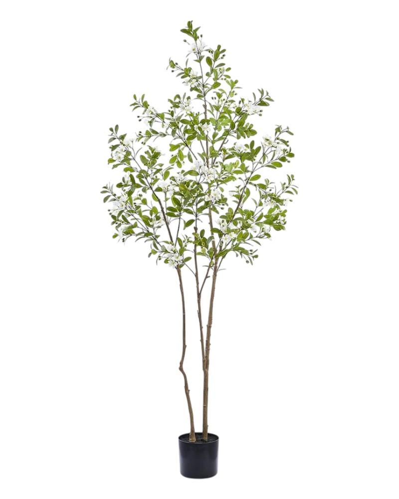 Rose Myrtle Tree 81.5" White