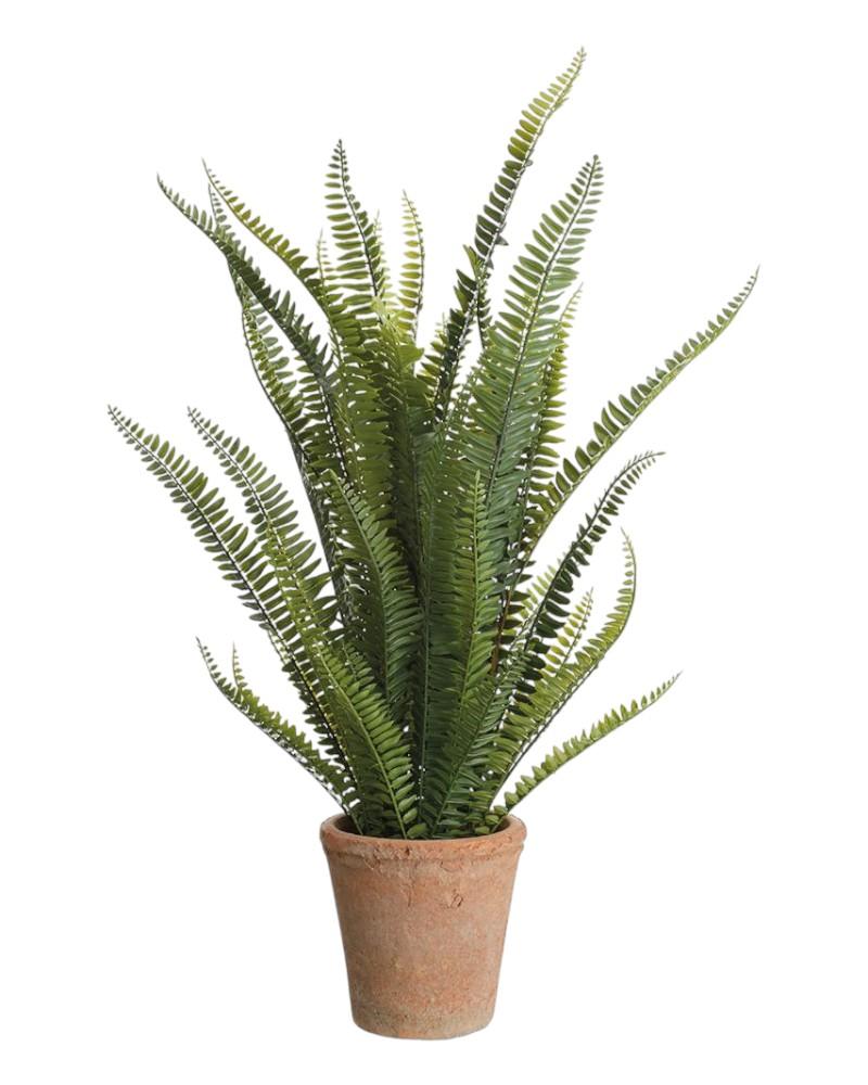 Boston Fern Pot 28" Green