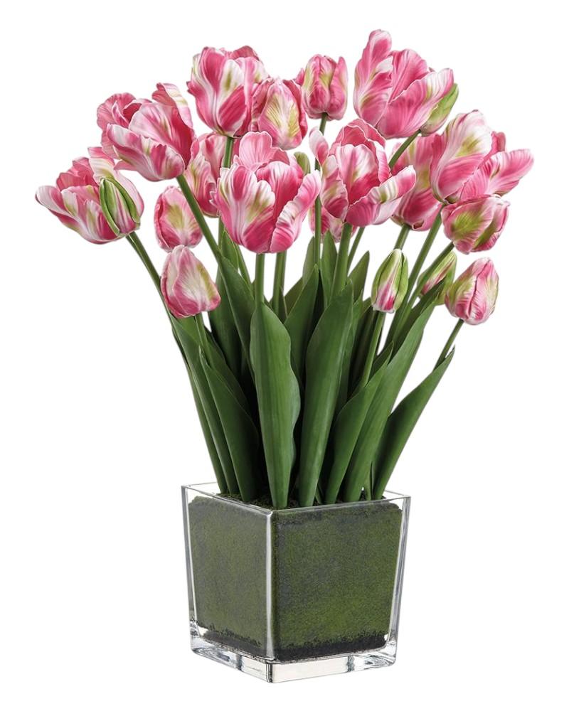 Parrot Tulips in Vase 20" BB/GR