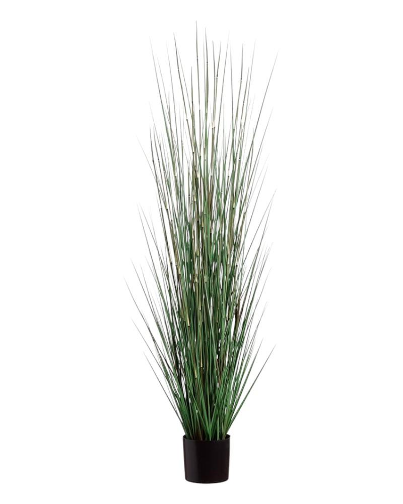 Grass/Horsetail Potted 72" Green