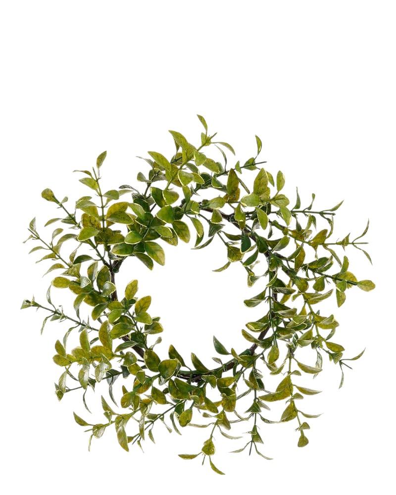 Boxwood Candle Ring 4.5" Green