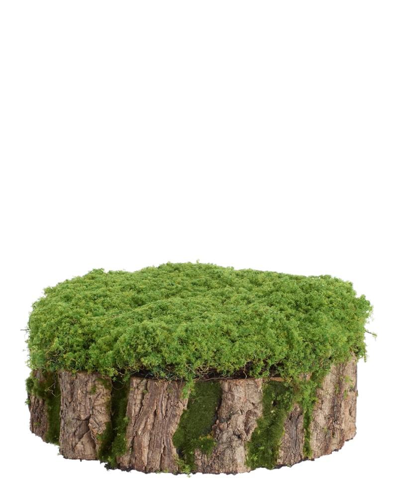 Moss Stump 5"x13" Green
