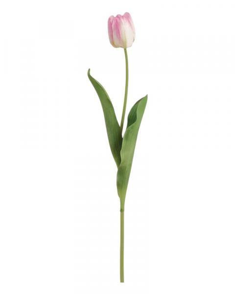 Tulip Spray 26" Pk/cr