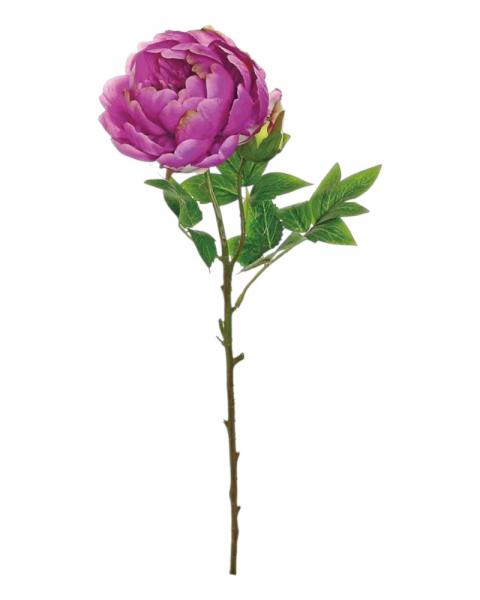 Peony W/bud 24" Magenta