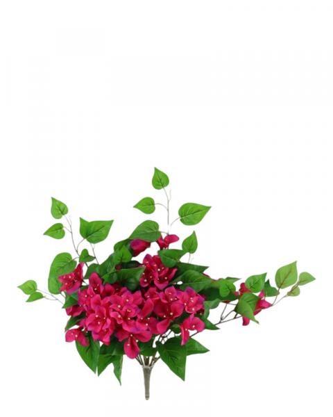 Bougainvilla Bush 20" Hot Pink