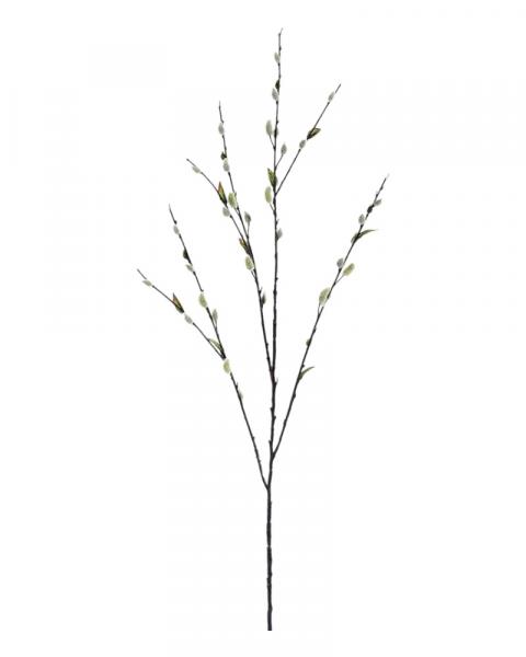 Pussy Willow Spray 48" Green
