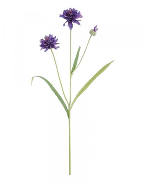 Cornflower Spray 30" Purple