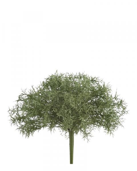 Soft Sprengeri Bush 11" Gr/gy