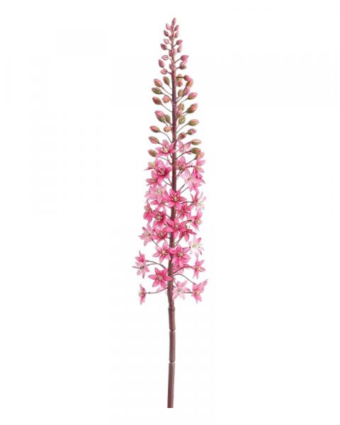 Pineapple Lily Spray 37" Cerise