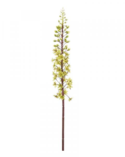 Pineapple Lily Spray 37" Green
