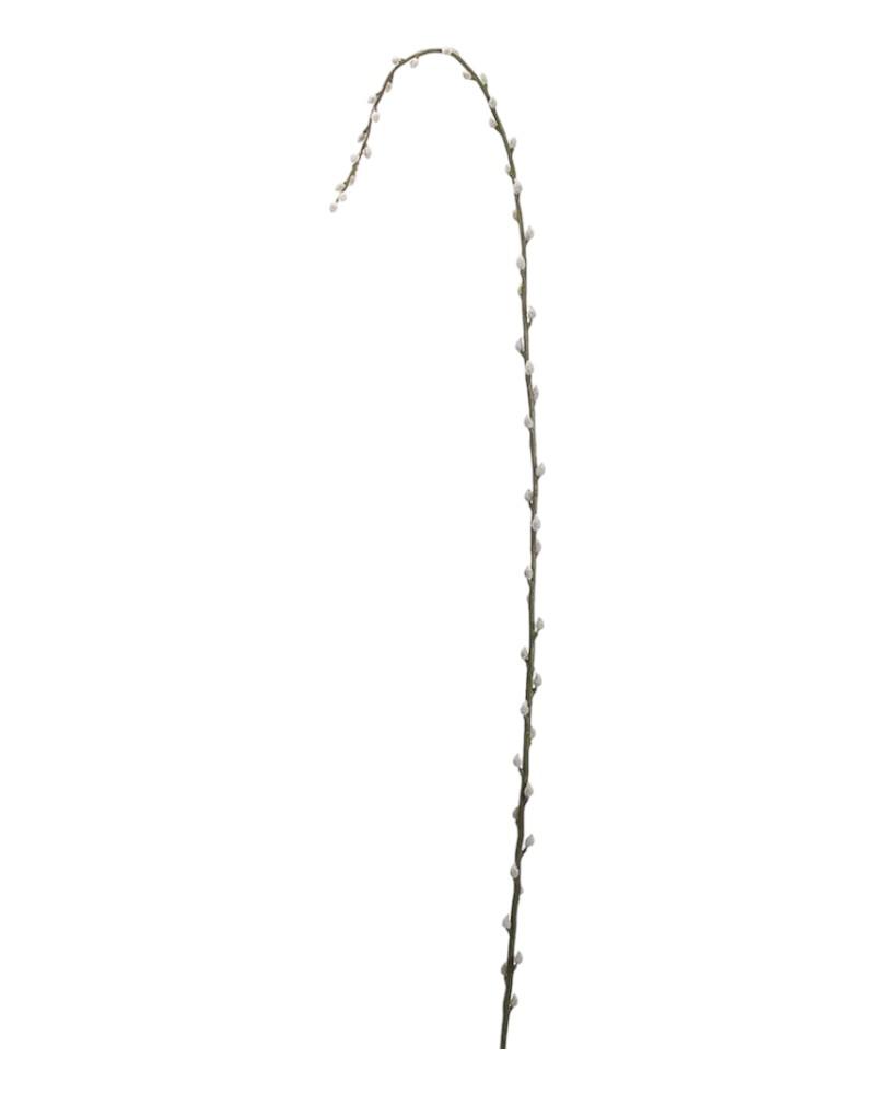 Pussy Willow Branch 65"