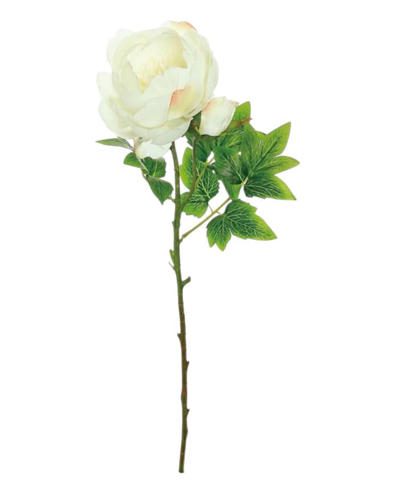 Peony W/bud 24" Cream
