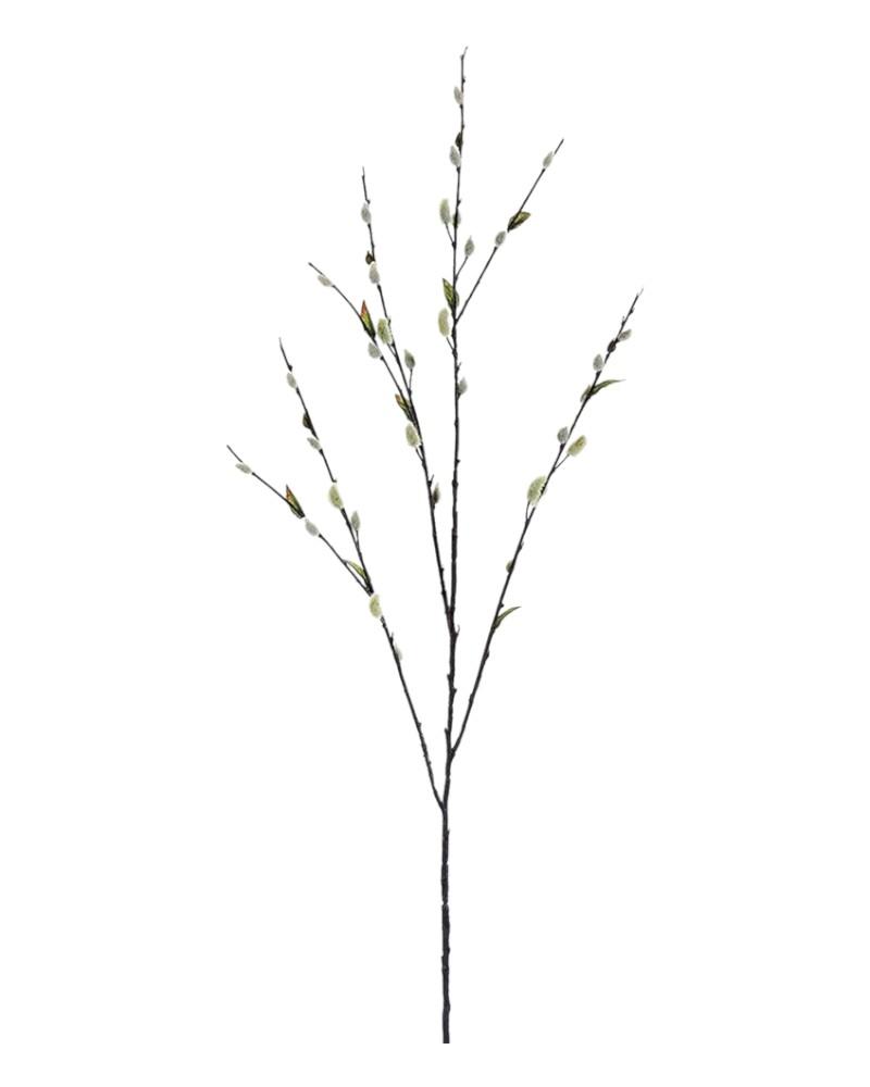 Pussy Willow Spray 48" Green