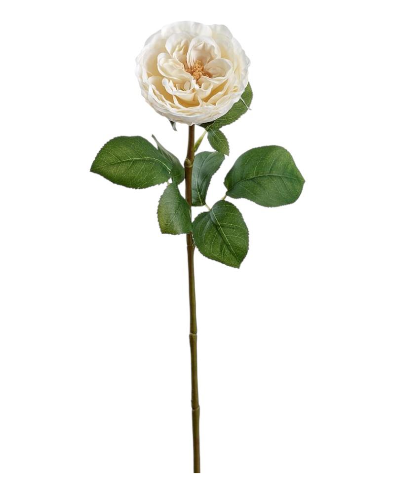 Rose Spray 26" Cream