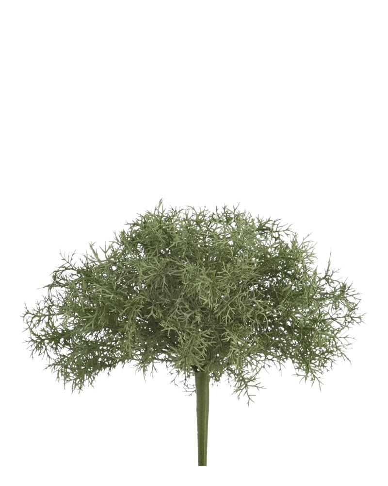 Soft Sprengeri Bush 11" Gr/gy