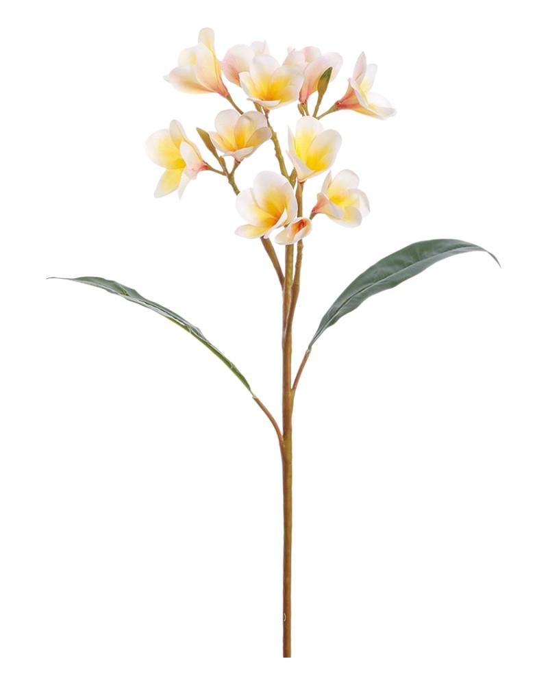 Plumeria Spray 28" Cream