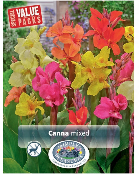 Canna Value Pack Pkg of 3 Mixed