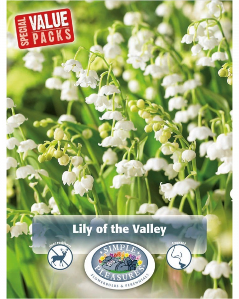 Lily of the Valley Pkg of 10 Value Pack