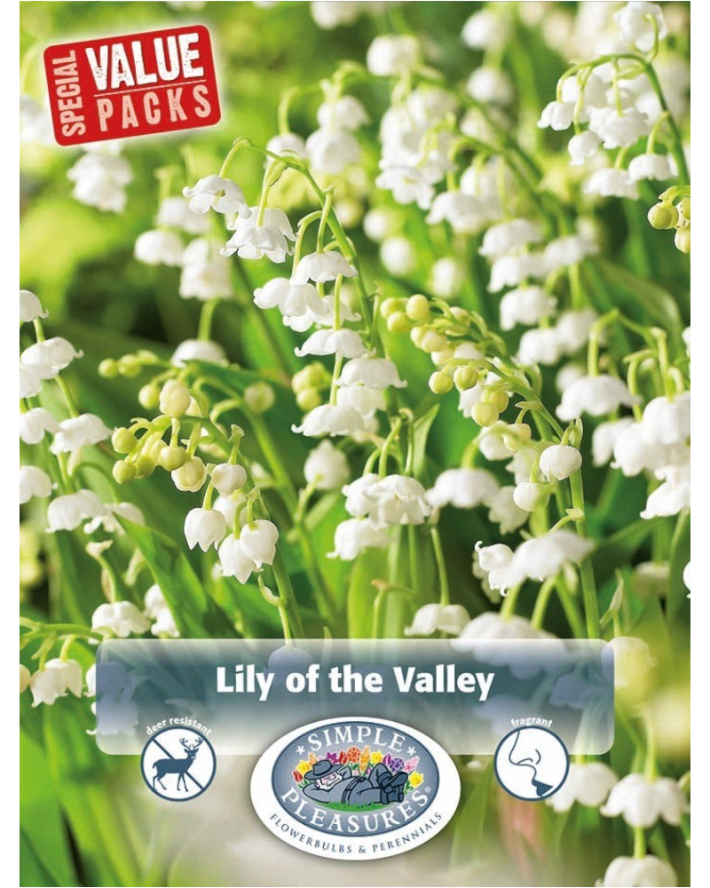 Lily of the Valley Pkg of 10 Value Pack