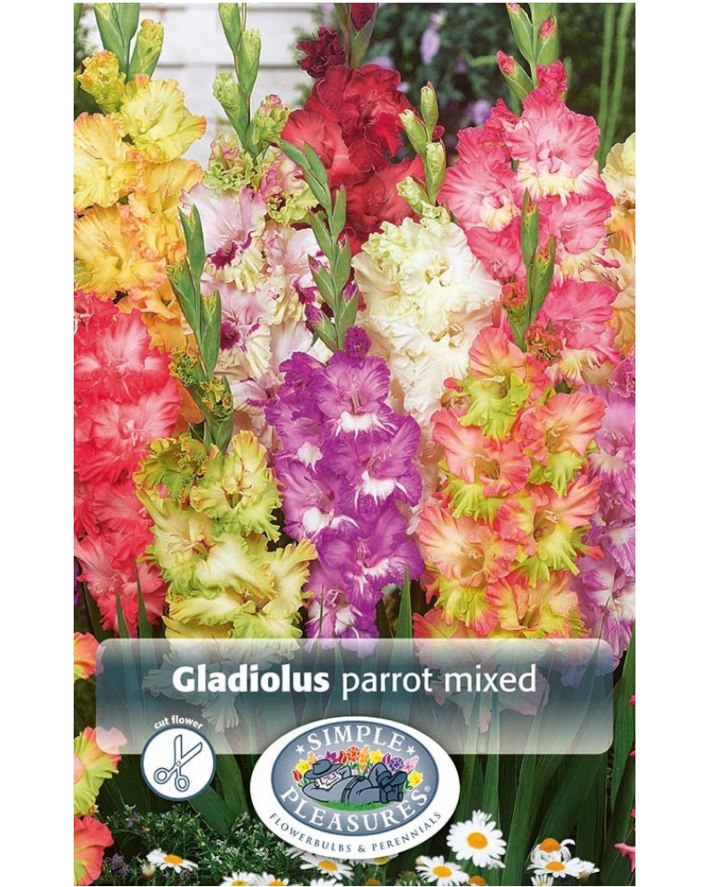 Gladiolus Pkg of 10 Parrot Mixed