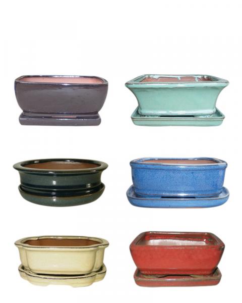 Cactus/Bonsai Pot 10" Assorted