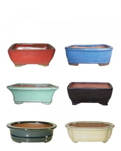 Cactus/Bonsai Pot 7" Assorted