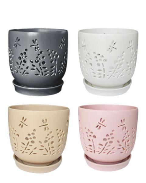 Amelia Orchid Pot 5" Assorted