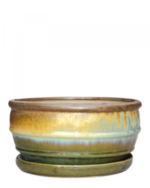 Fushion Dish 10" Green