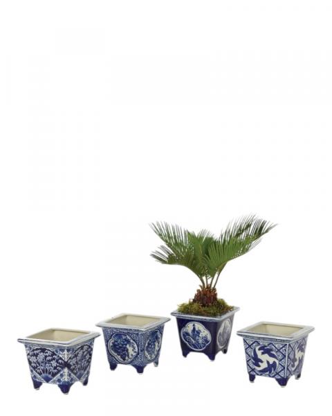 Blue/white Square Planter 4"