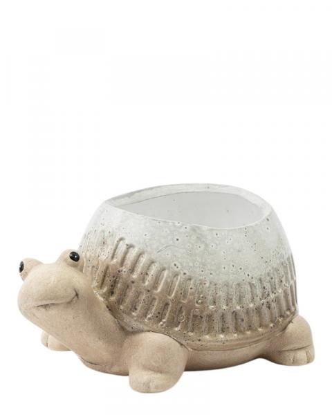 Turtle Planter 3.5"