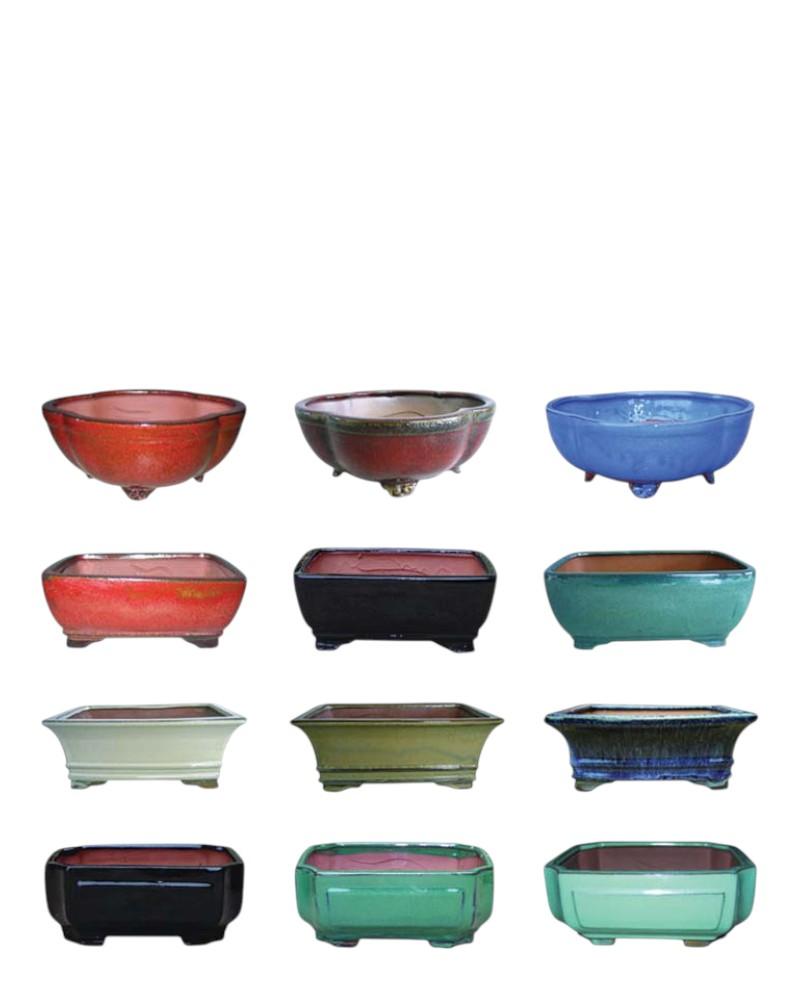 Professional Bonsai Pot 8" Assorted