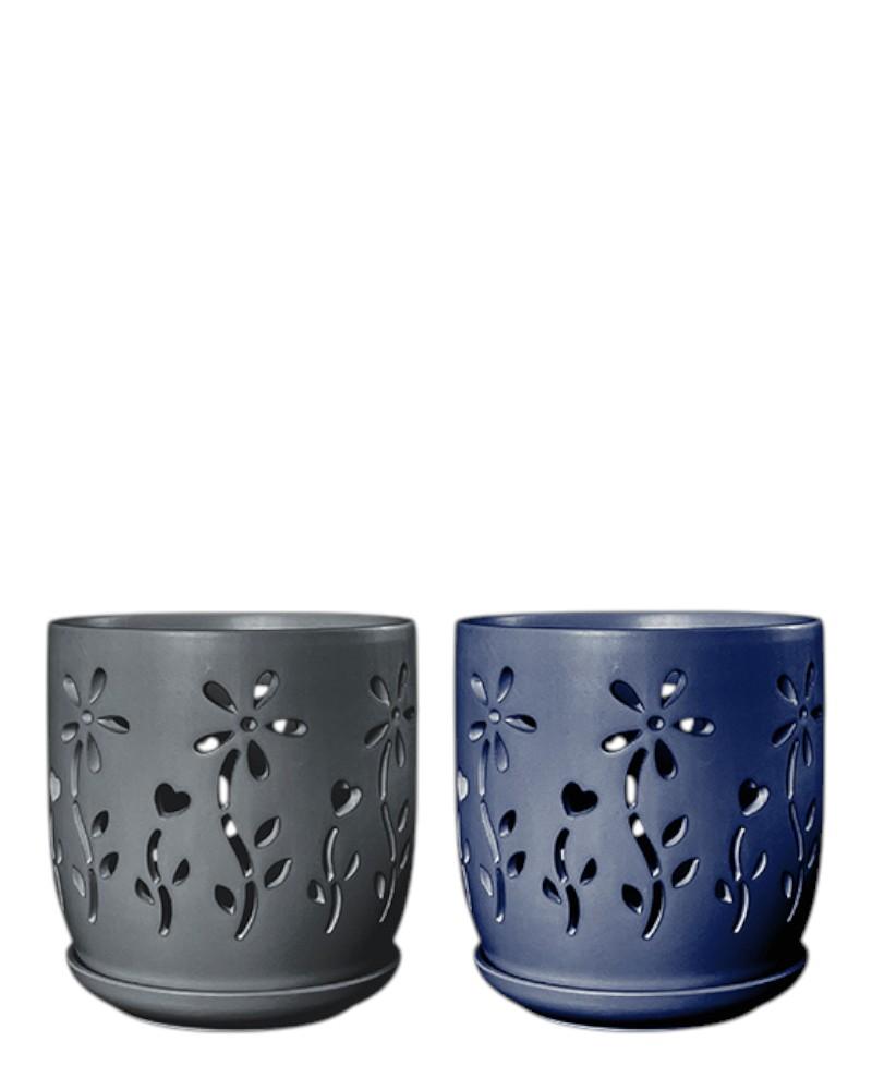 Eden Orchid Pot 5" Assorted