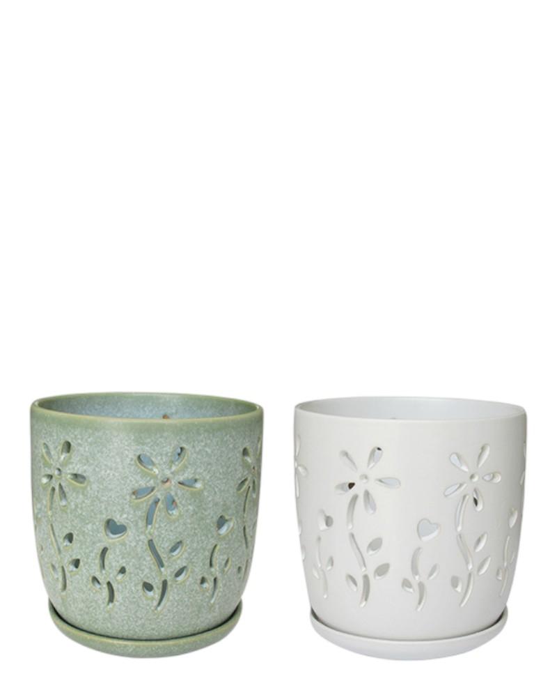 Eden Orchid Pot 5" Assorted