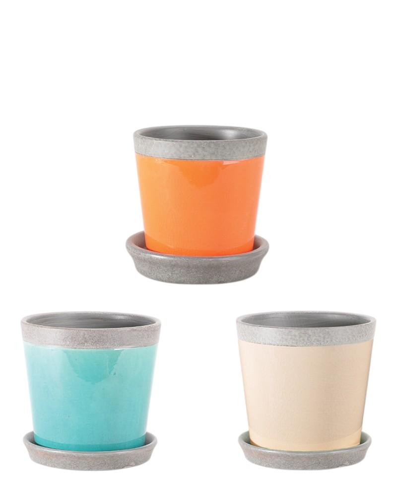 Bellmore Planter 5" Assorted