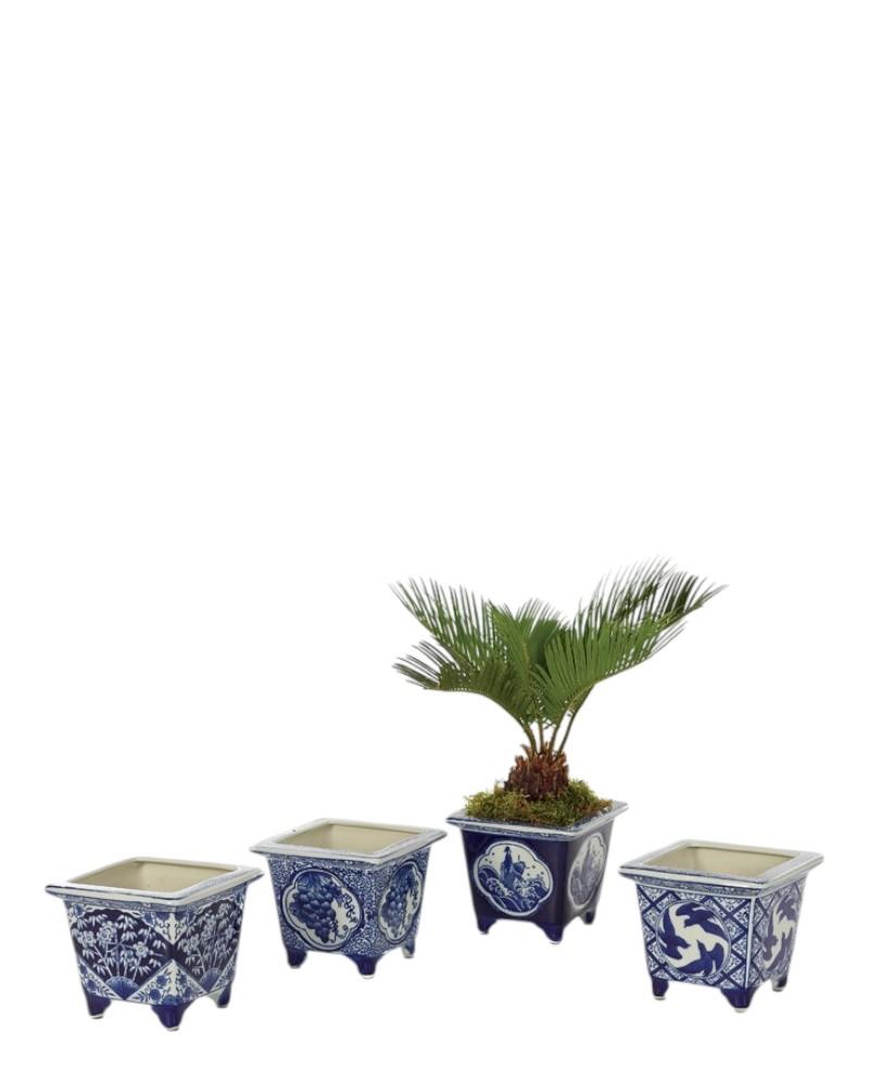 Blue/white Square Planter 4"