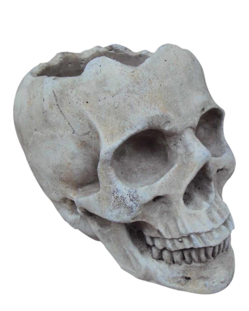 Cement Skull Planter