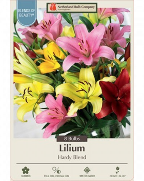 Lily Asiatic Pkg Of 8 Hardy Mixture