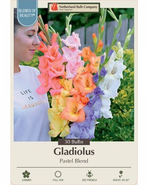 Gladiolus Pkg Of 30 Pastel Blend