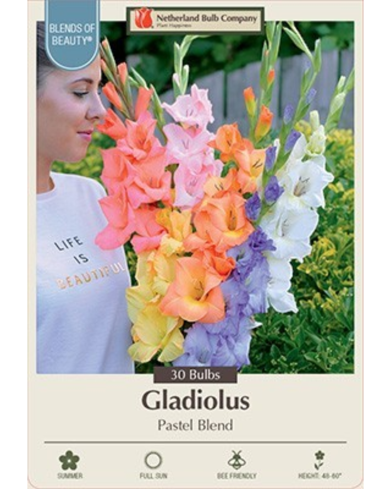 Gladiolus Pkg Of 30 Pastel Blend