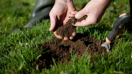 Soil Conditioners