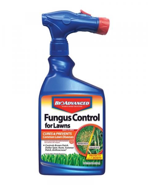 Bioadvanced Lawn Fungus 32oz Ready To Spray